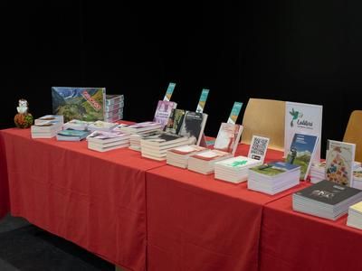 Apertura Festival